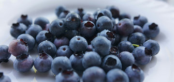 The Power of Antioxidants